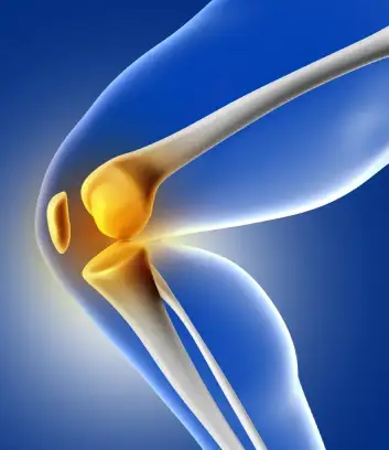 Bones and Joint replacement